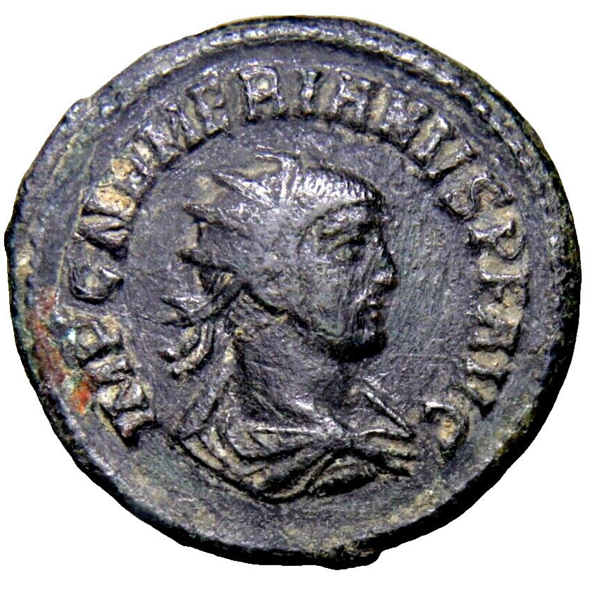 SCARCE Emperor NUMERIAN 283AD Antoninianus. Cyzicus GREEN Patina Roman Coin COA